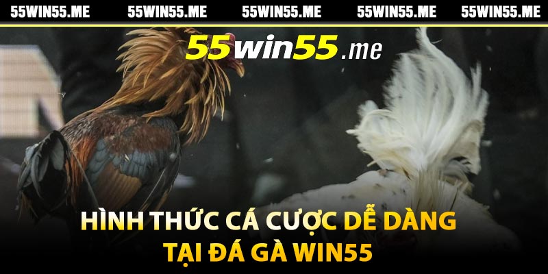 Hình thức cá cược dễ dàng tại đá gà Win55